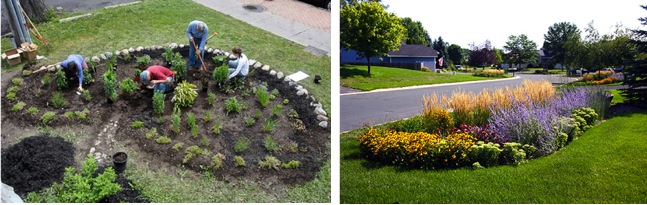 Rain Gardens Friends Of Bolin Creek