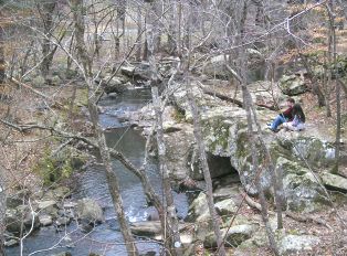 Adams Preserve