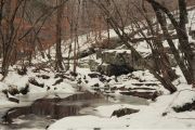 Adams Tract Caves at foot of bluff