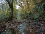 Bolin Creek