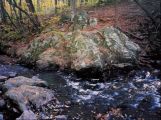 Bolin Creek Toes