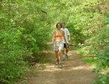 Bolin Creek Walk