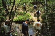4-04 Creek Walk