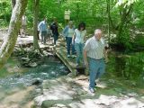 5-05 Creek Walk