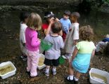 Cynthia Crossen Teaches kids