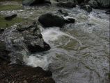 Rapids After Rain