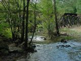 Bolin Creek