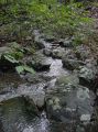Tributary After Rain