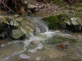 Tributary Falls