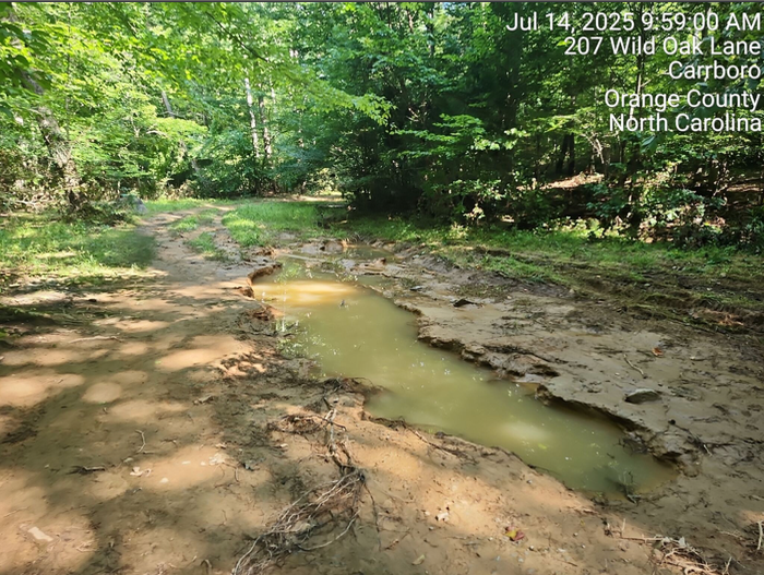 Chantal Storm Brings a Silver Lining to Bolin Creek