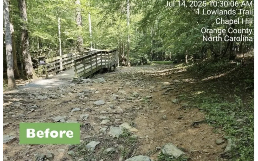 Carrboro Budget Update: Bolin Creek